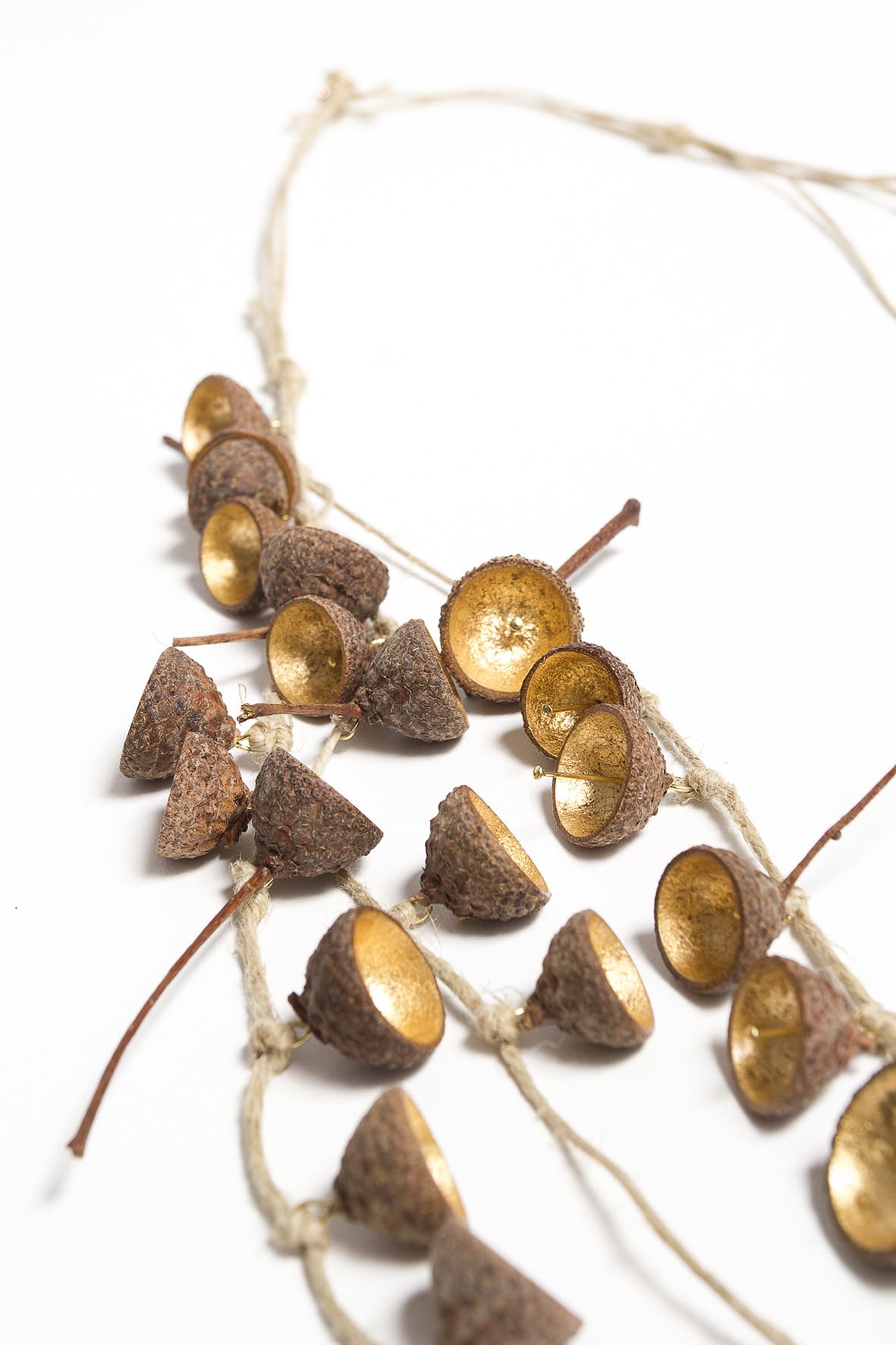Cupules, feuilles d'or et lin