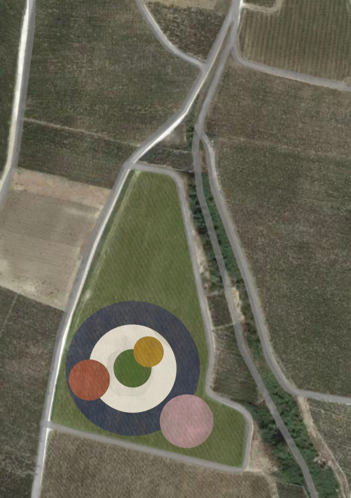 Agroglyphe finaliste, vue d'ensemble de la parcelle